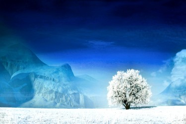 绍兴上虞银行个人借款利率揭秘：揭秘低息秘密，轻松贷款无忧