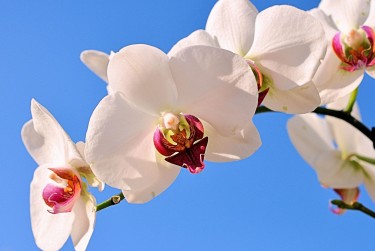 绍兴上虞空放急用钱贷款|生意借钱周转|绍兴上虞急用钱个人贷款